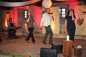 Rinder an die Macht
