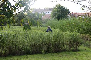 Tag der offenen T&uuml;r in der Werkstatt der Lebenshilfe in Klettenberg