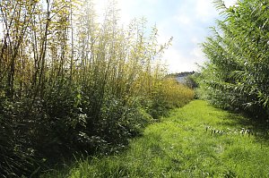 Tag der offenen T&uuml;r in der Werkstatt der Lebenshilfe in Klettenberg