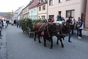 Das komplette Bauernheer