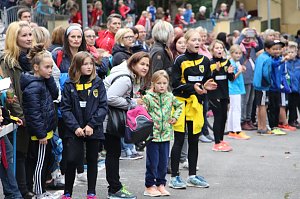 919 L&auml;uferinnen und L&auml;ufer - Neuer Rekord!
