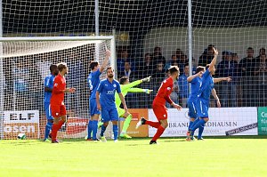 1:2-Niederlage gegen Viktoria Berlin