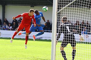 1:2-Niederlage gegen Viktoria Berlin