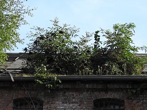Der alte Knast in der Nachbarstadt