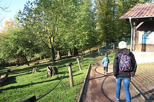 Goldener Herbst im B&auml;renpark Worbis