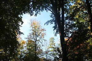 Goldener Herbst im B&auml;renpark Worbis