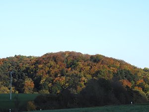 Pilze und Sonne bei Petersdorf