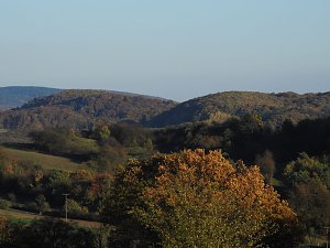 Pilze und Sonne bei Petersdorf