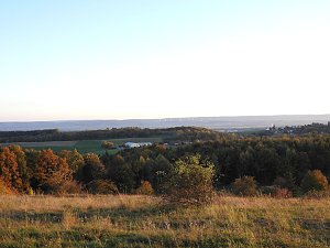 Pilze und Sonne bei Petersdorf
