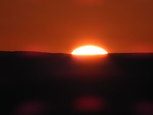 Pilze und Sonne bei Petersdorf