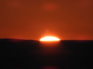 Pilze und Sonne bei Petersdorf