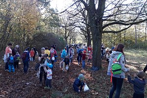 Die Kindervilla wandert im goldenen Oktober