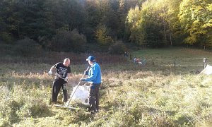 Jugendliche erhalten die Artenvielfalt
