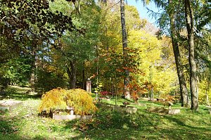 Herbstliche Sonne 
