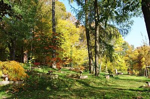 Herbstliche Sonne 