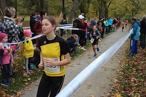 24. Stadtparklauf in Sondershausen (1)