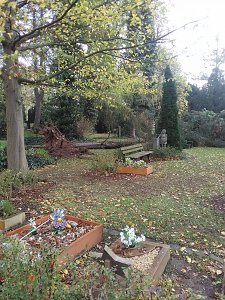 Umgest&uuml;rzte B&auml;ume auf dem Hauptfriedhof