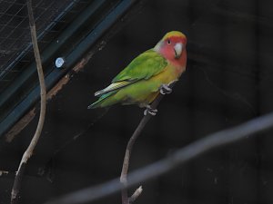 Peter Blei im B&auml;renpark Worbis
