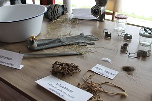 Schlachtfest in der AWO Seniorenresidenz