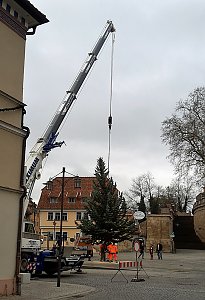 Weihnachtsdekoration beginnt