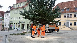 Weihnachtsdekoration beginnt