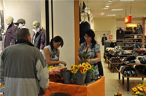 Sonntagseinkauf in der S&uuml;dharzgalerie
