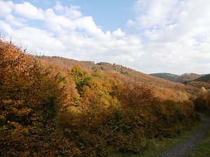 Viel Arbeit im "Wernaer Tal"