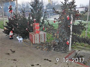 Kleingartenverein "Frohes Schaffen" lud zum Nikolausgrillen