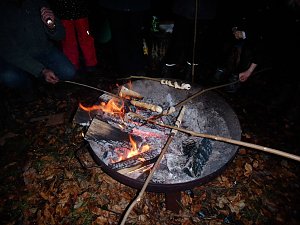 Lebendiger Adventskalender in Harztor
