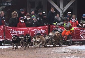 Schlittenhunderennen in Pullmann City II