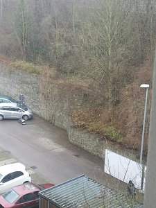 Fr&uuml;hjahrsputz par excellence
