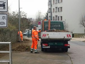 Fr&uuml;hjahrsputz par excellence