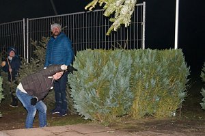 1. Knutfest