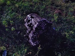 Schwerer Unfall mit get&ouml;teter Person