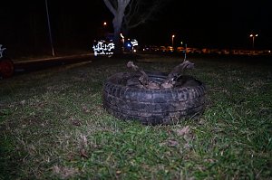 Bilder von der Unfallstelle