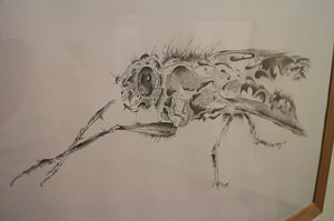 "Zeichen der Moderne" - neue Ausstellung im Kunsthaus Nordhausen er&ouml;ffnet