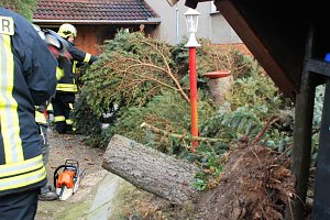 Gefallen und zerkleinert