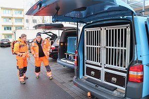 Rettungshundestaffel im Einsatz am S&uuml;dharz-Klinikum