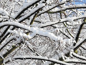 Winter in Nordhausen