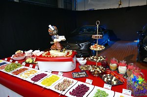 22. &Auml;rzte- und Apothekerball in Nordhausen