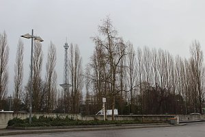 Gr&uuml;ne Woche