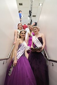 Schnappsch&uuml;sse von der Gr&uuml;nen Woche 2018