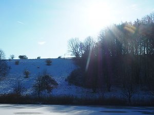 Winter am Hirschenteich