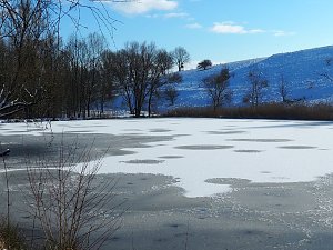 Winter am Hirschenteich