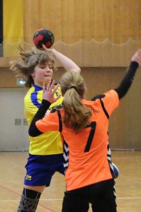 Vom weiblichen Handballnachwuchs des Nordhäuser SV