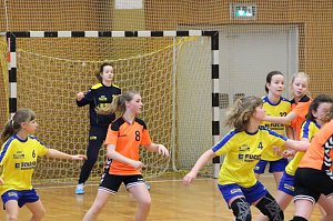 Vom weiblichen Handballnachwuchs des Nordhäuser SV
