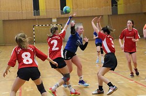 Vom weiblichen Handballnachwuchs des Nordhäuser SV