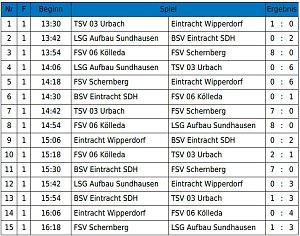Hallencup des BSV Eintracht der F-Junioren