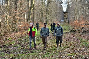 Touristisches Ausflugsziel: Mutterblutbuche