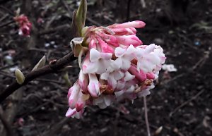 Interessanter Rundgang im Stadtpark